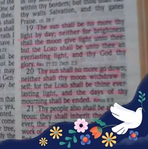 Meet your Posher, Dolores